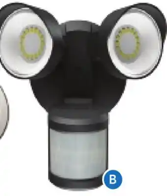 RONA GLOBE outdoor decorative and security lights All offer