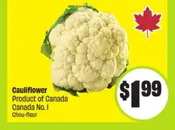 FreshCo Cauliflower Product of Canada Canada No. 1 offer