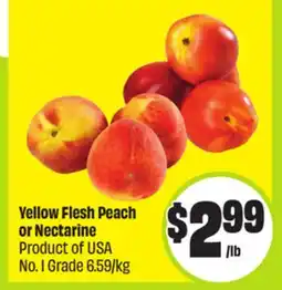 FreshCo Yellow Flesh Peach or Nectarine Product of USA No. 1 Grade 6.59/Kg offer