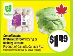 FreshCo Compliments White Mushrooms 227 g or Iceberg Lettuce Product of Canada, Canada No. 1 offer