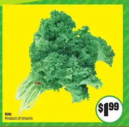 FreshCo Kale Product of Ontario offer