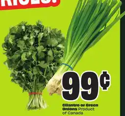 FreshCo cilantro or Great Onions Product of Canada offer