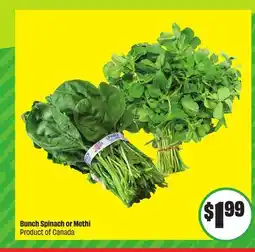 FreshCo Bunch Spinach or Methi Product of Canada offer
