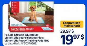 Walmart Vibrant Life Puppy Training Pads 150s offer