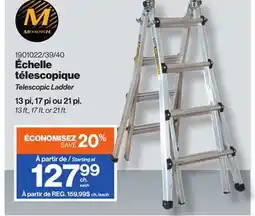Patrick Morin Telescopic Ladder offer