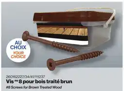 Patrick Morin 8 Screws for Brown Treated Wood offer