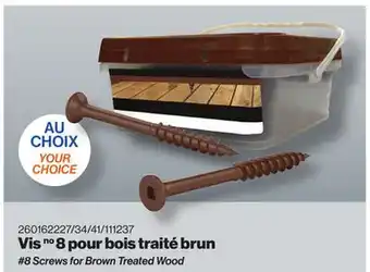 Patrick Morin 8 Screws for Brown Treated Wood offer