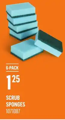 Canac Scrub Sponges offer
