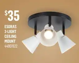 Canac Esdras 3-Light Ceiling Mount offer