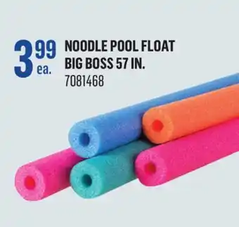 Canac Noodle Pool Float offer
