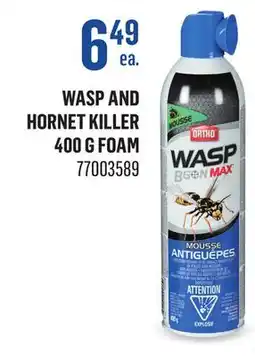 Canac Wasp and Hornet Killer 400 g foam offer
