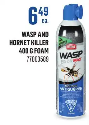 Canac Wasp and Hornet Killer 400 g foam offer