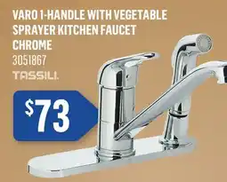 Canac Varo 1-Handle with Vegetable Sprayer Kitchen Faucet offer