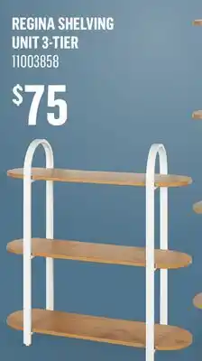 Canac Regina Shelving Unit offer