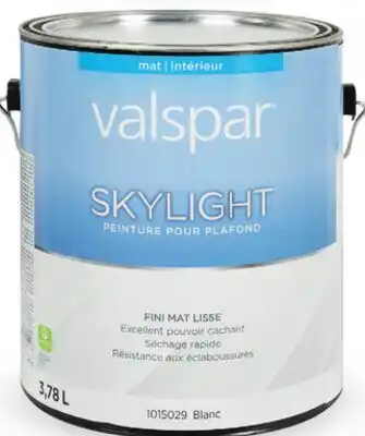 Canac Skylight Interior Latex Paint Mat Ceiling White offer