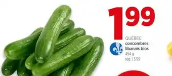Avril Concombres libanais bios offer