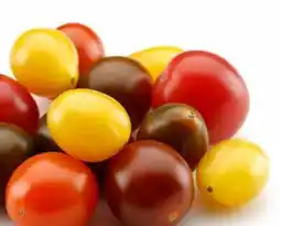 Avril Tomates cerises de couleurs variées bios offer