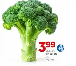 Avril brocoli bio offer