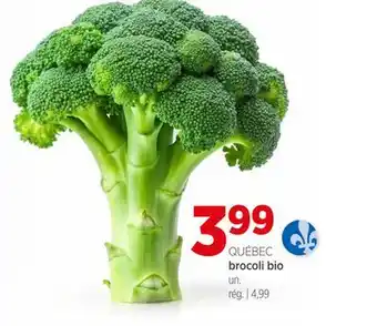 Avril brocoli bio offer