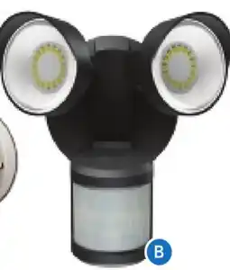 RONA GLOBE Outdoor Decorative and Security Lights offer