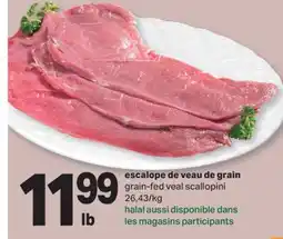 L'Intermarché ESCALOPE DE VEAU DE GRAIN | GRAIN-FED VEAL SCALLOPINI offer