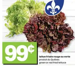 L'Intermarché LAITUE FRISÉE ROUGE OU VERTE | GREEN OR RED FRISÉ LETTUCE offer