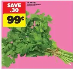 Real Canadian Superstore CILANTRO offer