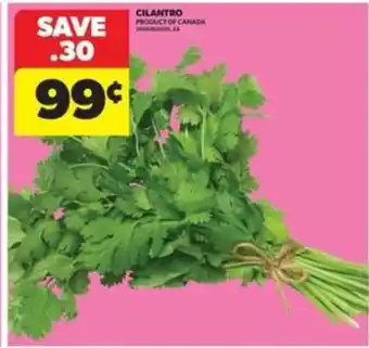 Real Canadian Superstore CILANTRO offer