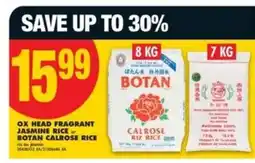 No Frills Ox Head Fragrant Jasmine Rice or Botan Calrose Rice offer