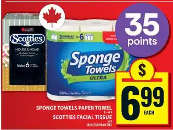 Food Basics Sponge Towels Paper Towel & Scotties Facial Tissue offer