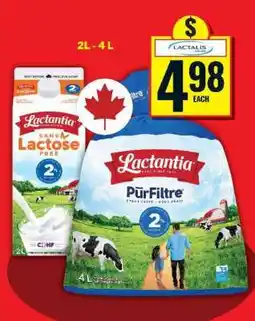 Food Basics Lactantia Milk offer