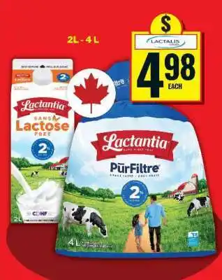 Food Basics Lactantia Milk offer
