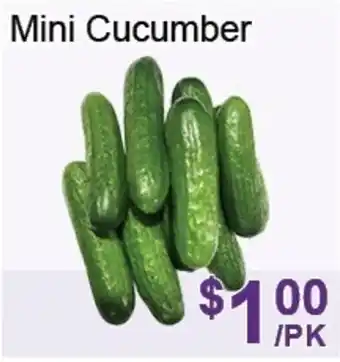 FreshPro Foodmart Mini cucumber offer
