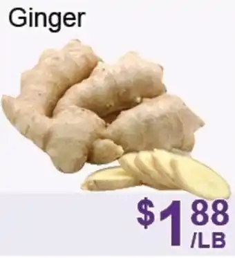 FreshPro Foodmart Ginger offer