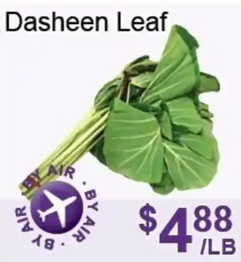 FreshPro Foodmart Dasheen leaf offer