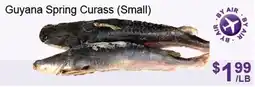 FreshPro Foodmart Guyana Spring Curass Small offer