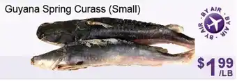 FreshPro Foodmart Guyana Spring Curass Small offer
