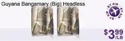 FreshPro Foodmart Guyana Bangamary Big Headless offer