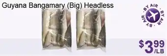 FreshPro Foodmart Guyana Bangamary Big Headless offer