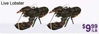 FreshPro Foodmart Live lobster offer