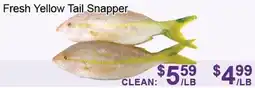 FreshPro Foodmart Fresh yellow tail snapper offer