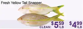 FreshPro Foodmart Fresh yellow tail snapper offer