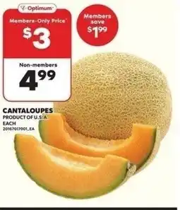Independent Grocer Cantaloupes offer