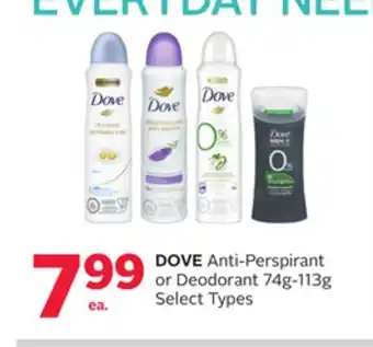 Rexall DOVE Anti-Perspirant or Deodorant offer