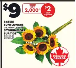 Independent City Market 5 STEM SUNFLOWERS offer