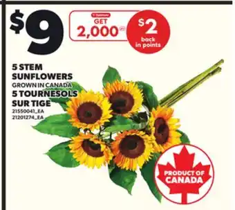 Independent City Market 5 STEM SUNFLOWERS offer