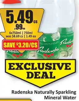 Starsky Radenska Naturally Sparkling Mineral Water offer