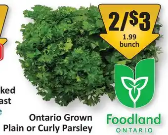 Starsky Ontario Grown Plain or Curly Parsley offer