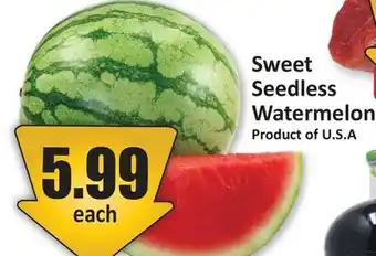 Starsky Sweet Seedless Watermelon offer