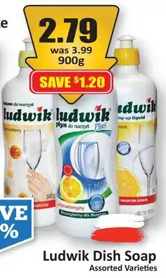 Starsky Ludwik Dish Soap offer